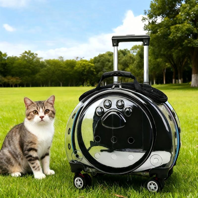 Transparent Capsule Rolling Pet Carrier - Image 2
