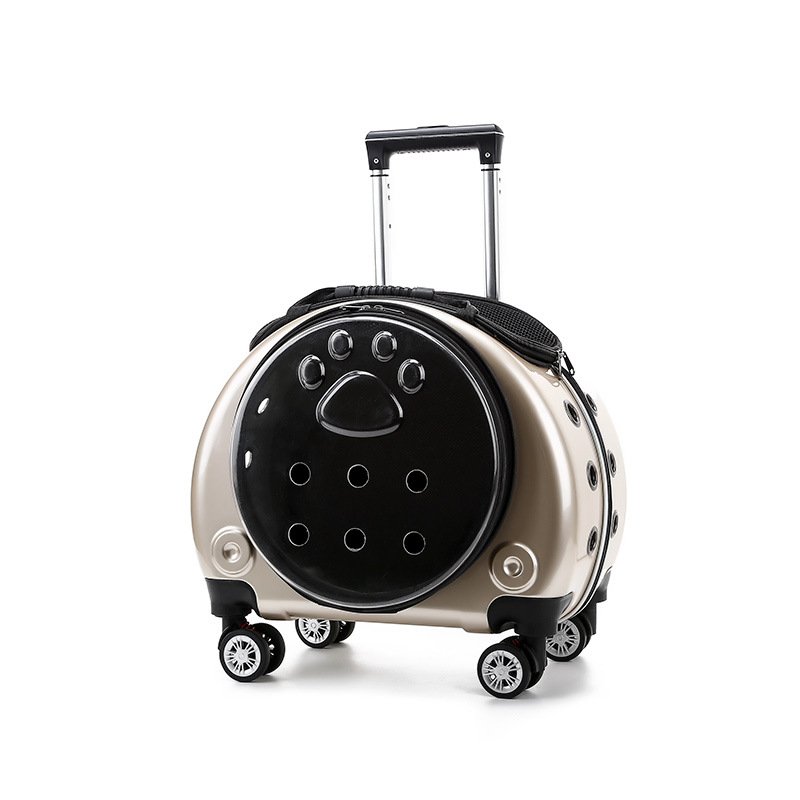Transparent Capsule Rolling Pet Carrier - Image 5
