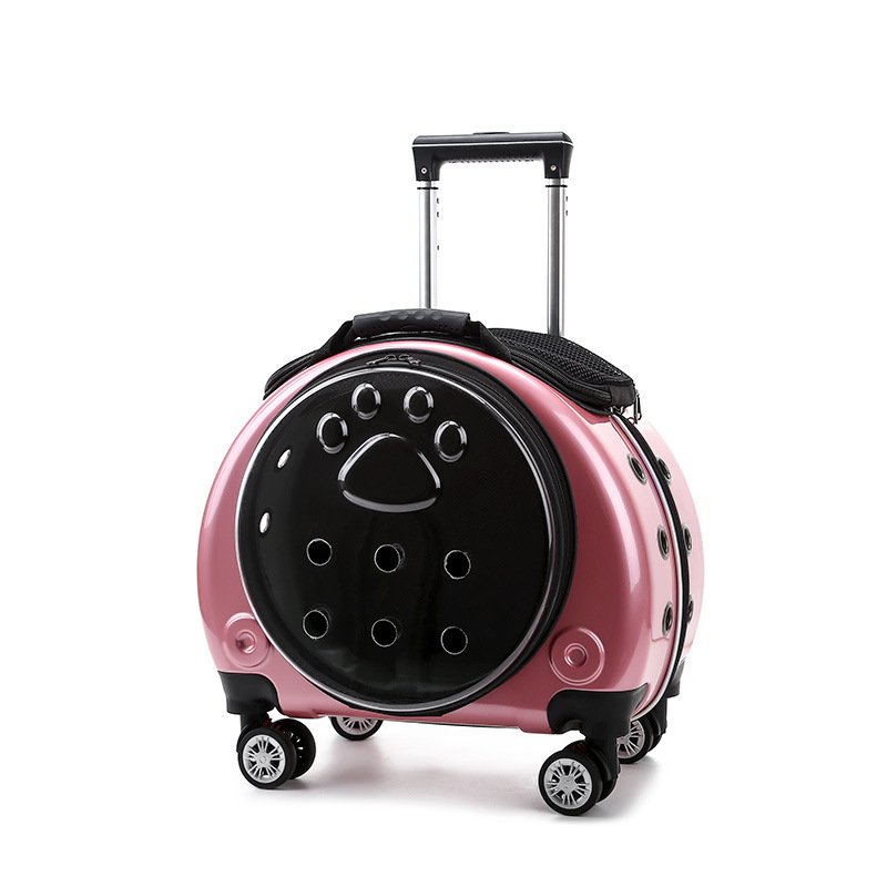 Transparent Capsule Rolling Pet Carrier - Image 4