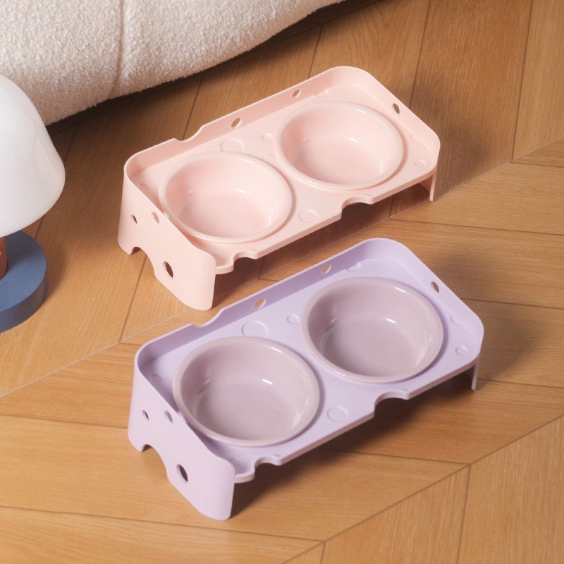 Raised Tilted Cat Food and Water Bowl Set with Double Plastic Riser