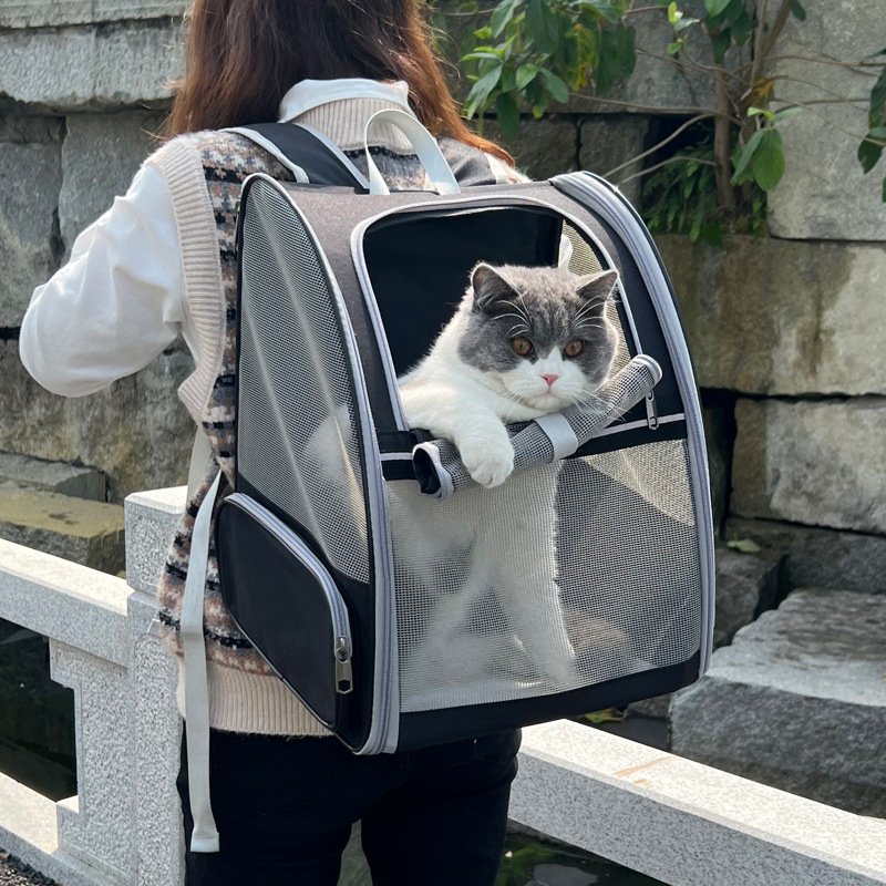 All-Around Breathable Mesh Pet Travel Backpack & Foldable Carrier for Cats and Small Dogs