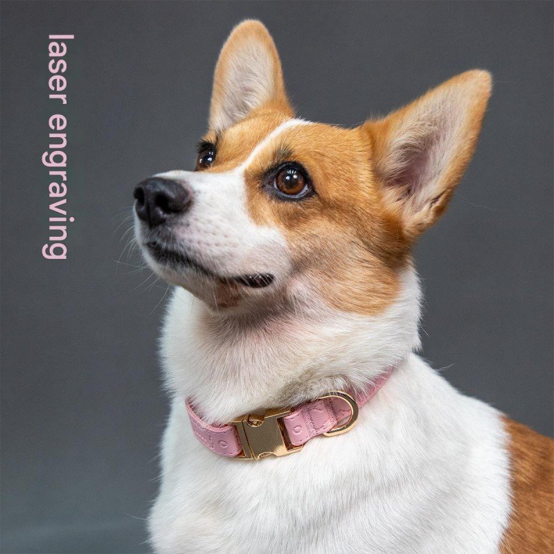 Personalized Dog Collar with Engraved Gold Buckle & Stitched Bone Detail