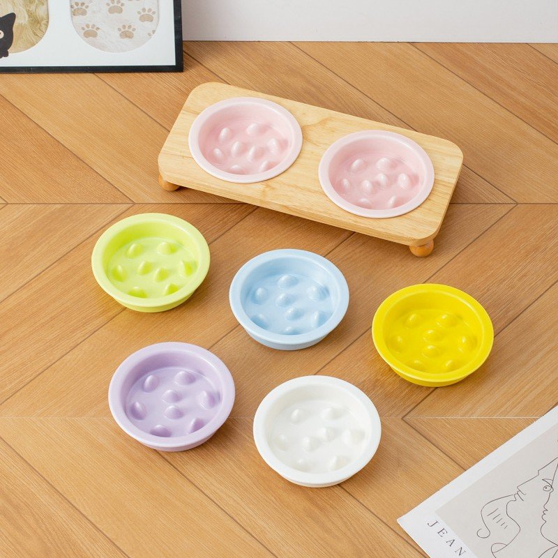 Elevated Ceramic Slow Feeder Dog & Cat Bowls with Wooden Stand