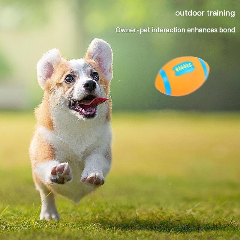 Squeaky Latex Football Dog Toy – Soft Teething Chew Ball for Puppies & Small Dogs - Image 3
