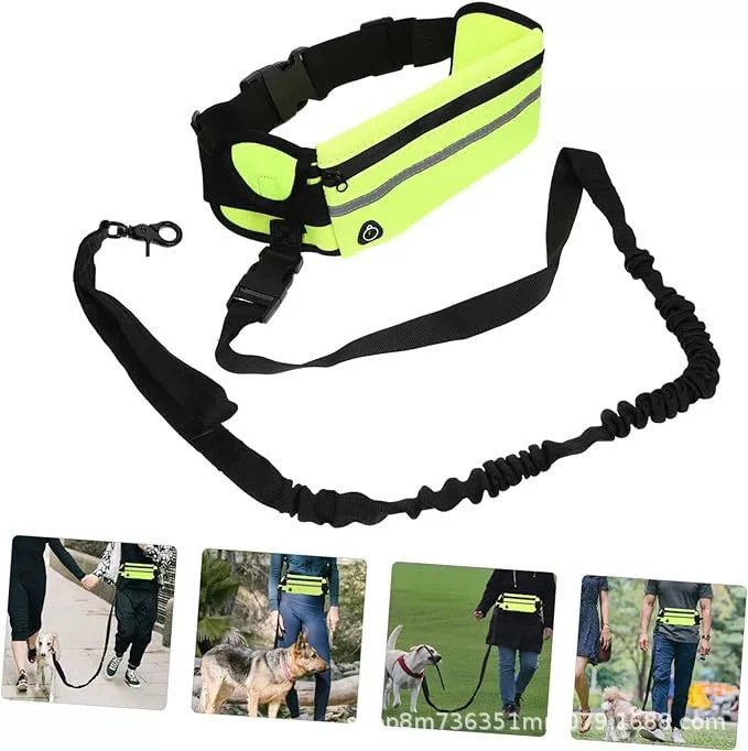 Hands-Free Dog Leash for Running - Image 3