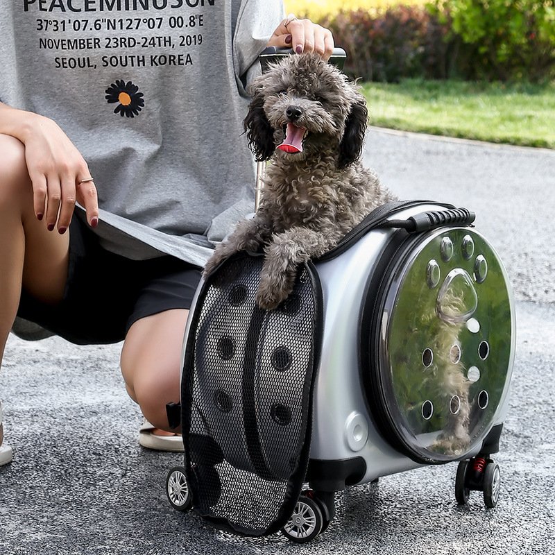Transparent Capsule Rolling Pet Carrier