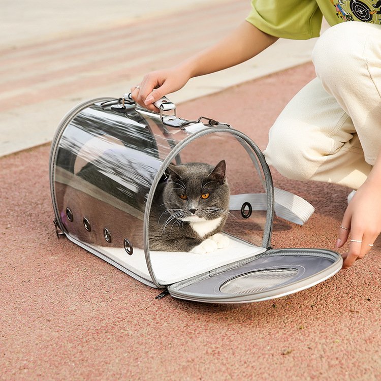 Transparent Pet Handbag Carrier - Image 3