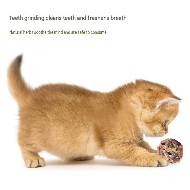Natural Silvervine Cage Ball with Compressed Catnip – Dental Chew Toy for Cats - Image 3