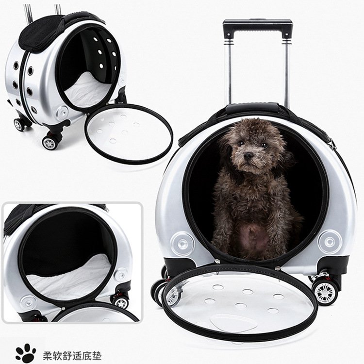 Transparent Capsule Rolling Pet Carrier - Image 12