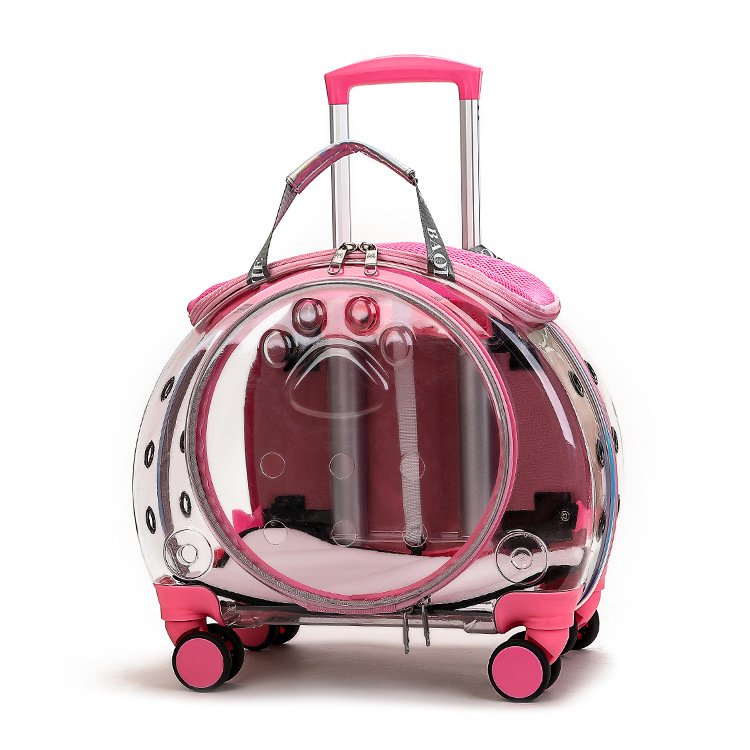 Transparent Capsule Rolling Pet Carrier - Image 8