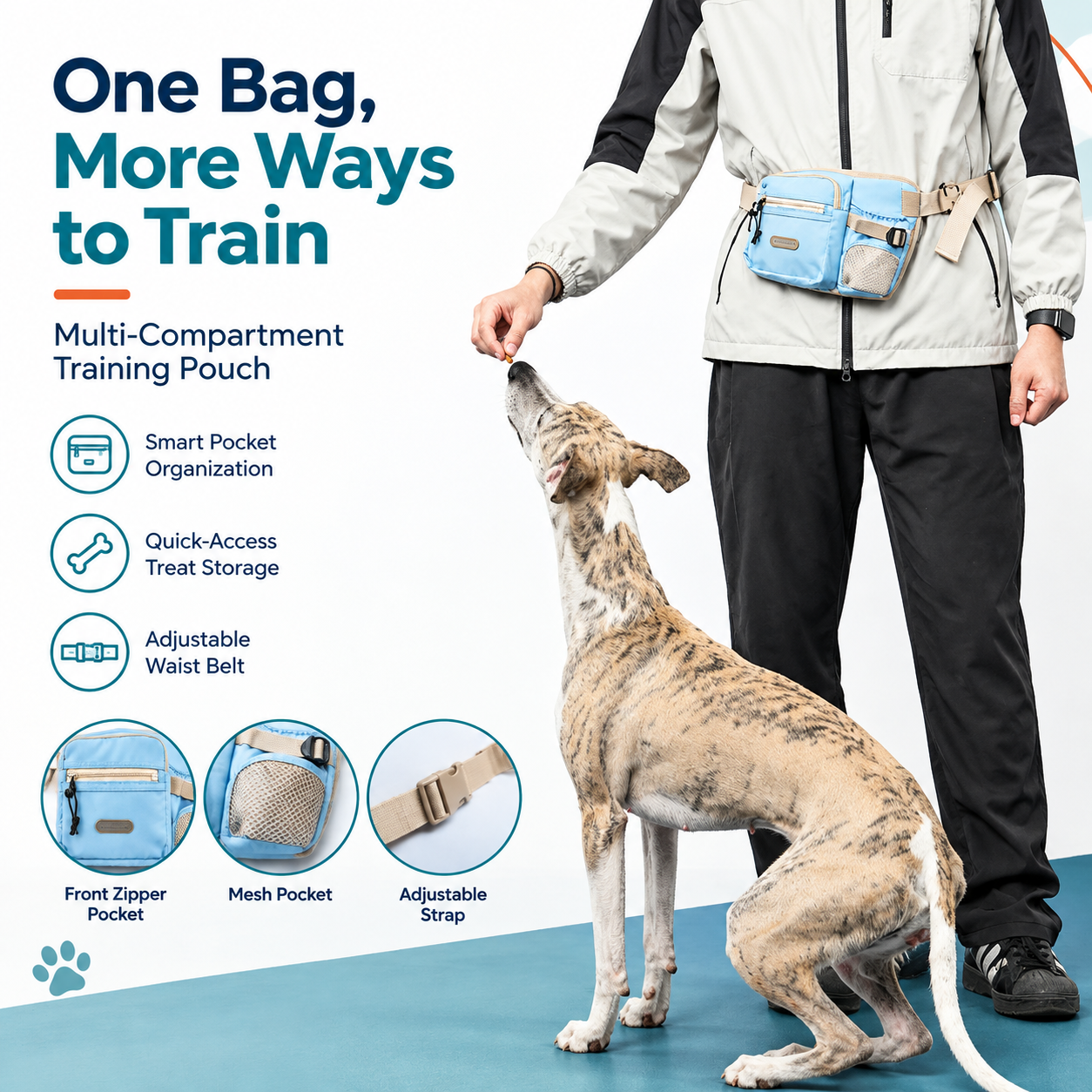 Multi-Compartment Training Pouch