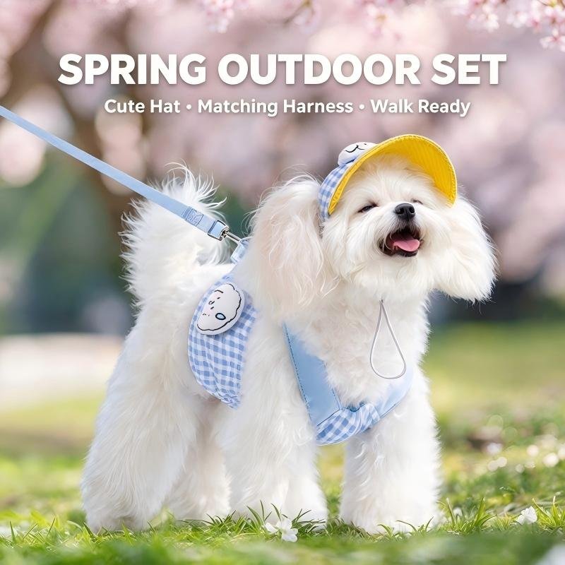 Gingham Dog Harness, Leash & Hat Set - Image 3