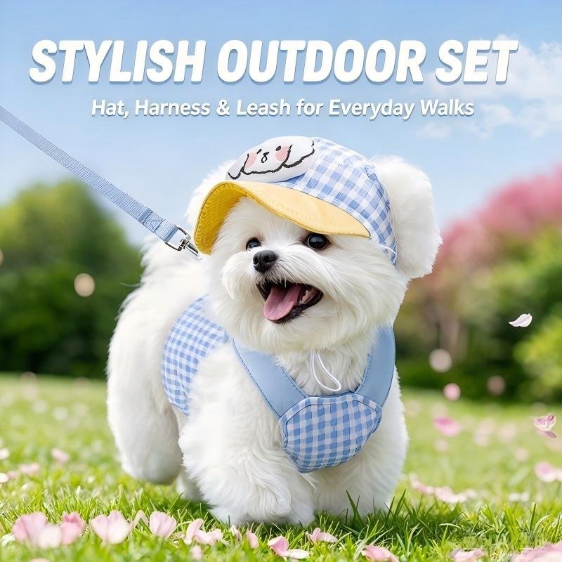 Gingham Dog Harness, Leash & Hat Set - Image 4