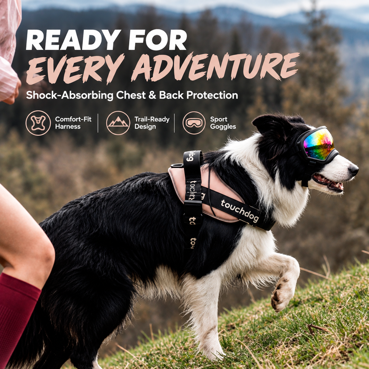 Adventure-Ready 3D Massage Pad Chest & Back Protection Harness
