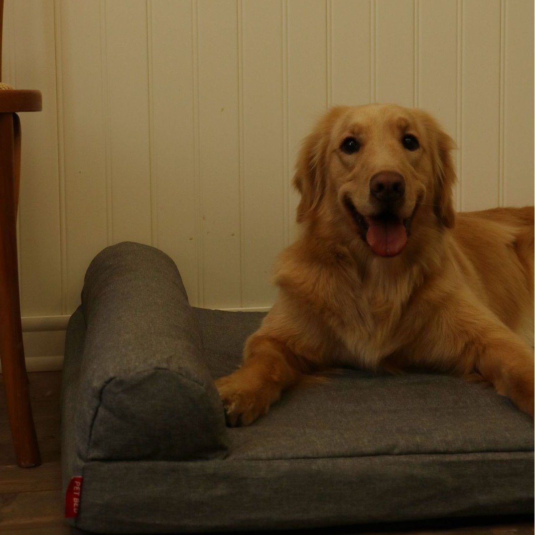 Orthopedic Dog Bed for Large Dogs - Image 4