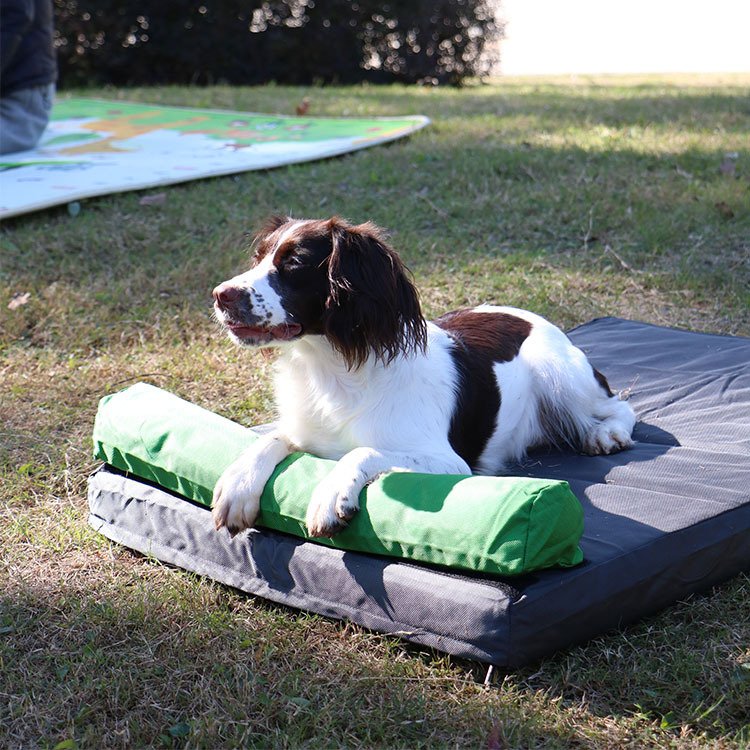 Portable Outdoor Dog Bed