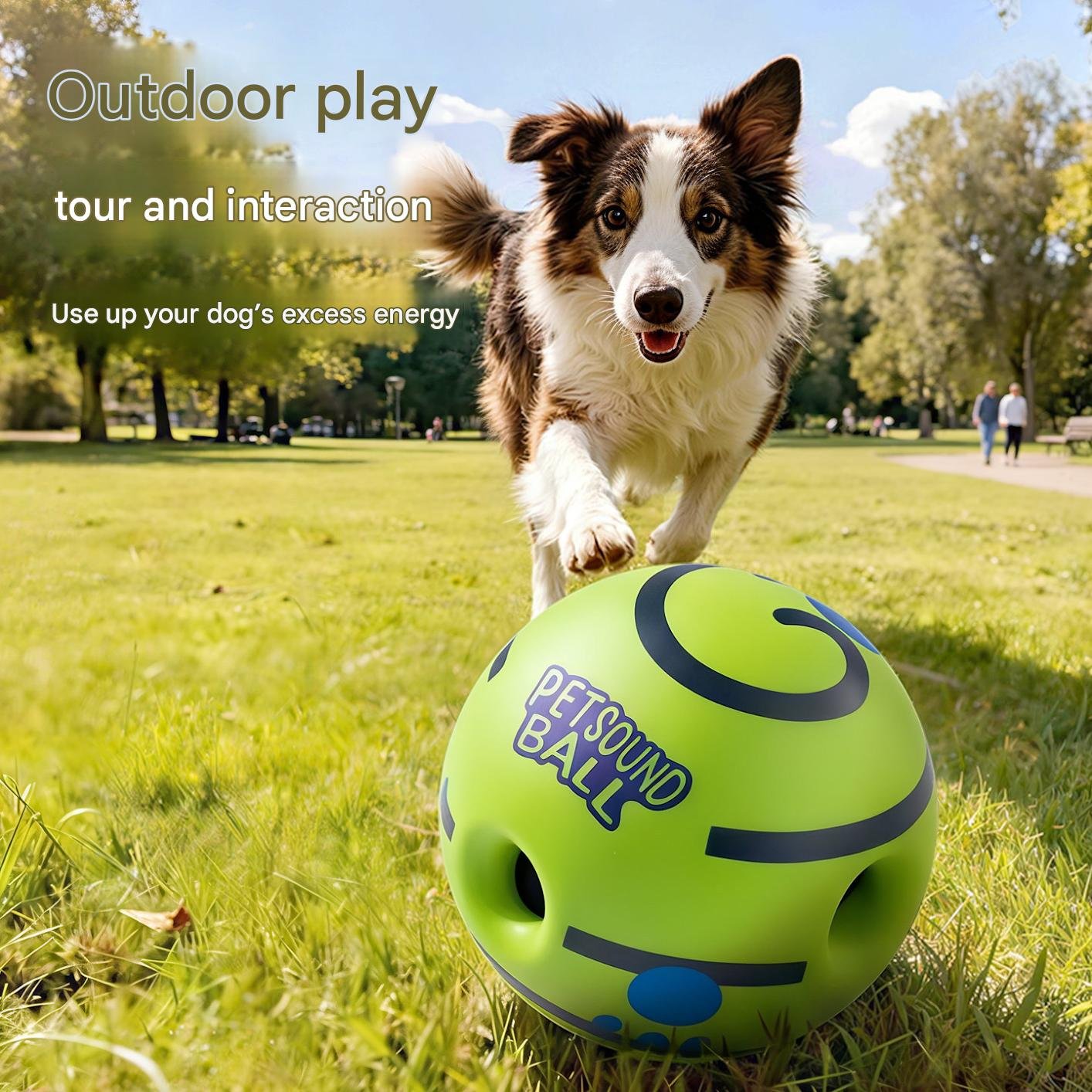 Interactive Squeaky Toy for Dogs and Cats – Self-Play Teething Ball – Rolling Sound-Making Pet Toy - Image 3