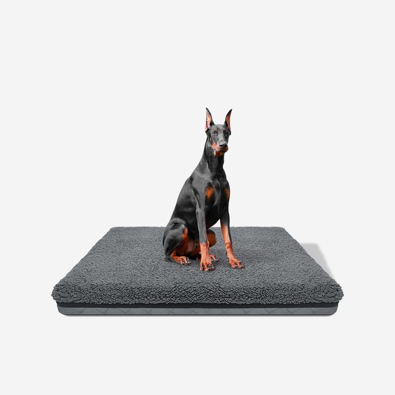 Orthopedic Dog Bed for Large Dogs - Image 5