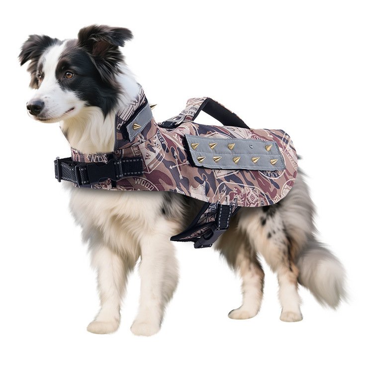 Black and white Border Collie wearing a camouflage tactical vest with graffiti patterns and a grey panel featuring gold metal studs, standing against a white background