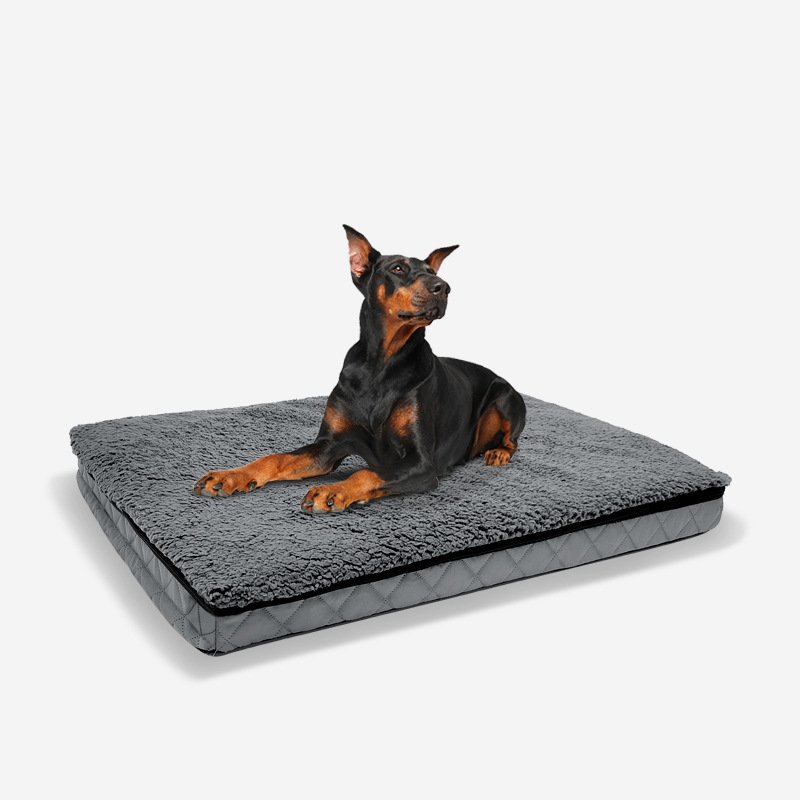 2-in-1 Orthopedic Dog Bed for Large Dogs