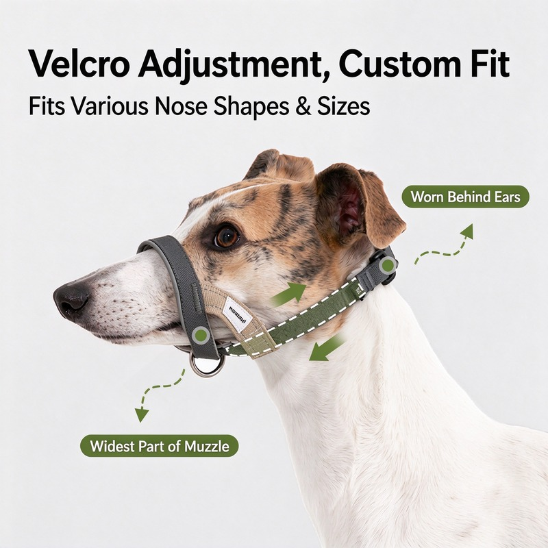 Multifunctional Training Dog Muzzle - Image 3