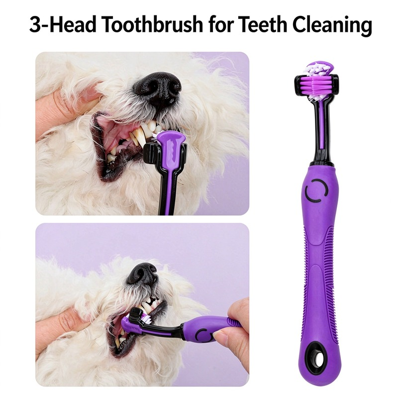 9-Piece Professional Pet Grooming Kit - Image 2