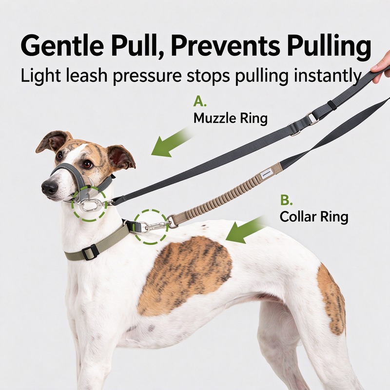 Multifunctional Training Dog Muzzle - Image 2
