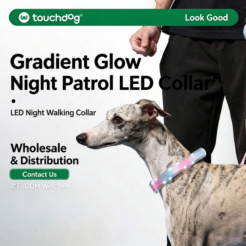 Gradient Glow Night Patrol LED Collar & Leash Set