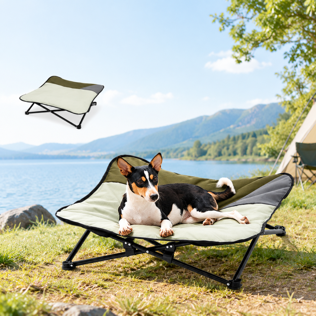 Elevated Dog Bed